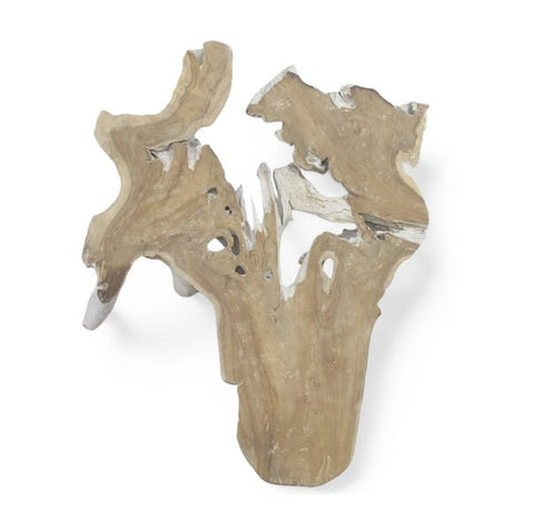 Organic Teak Root Sculpture Wall Art 12 - Dyag East