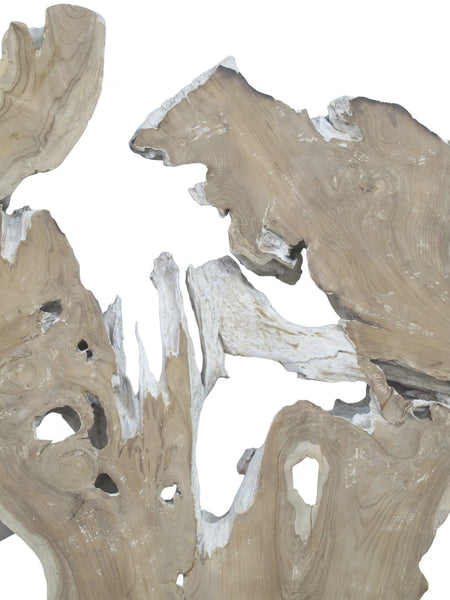 Organic Teak Root Sculpture Wall Art 12 - Dyag East