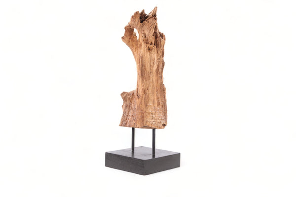 Table Top Organic Teak Sculpture - 34" Inch Tall - Dyag East