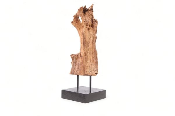 Table Top Organic Teak Sculpture - 34" Inch Tall - Dyag East