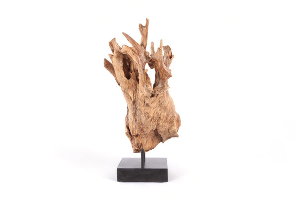 Table Top Organic Teak Sculpture - 38" Inch Tall - Dyag East