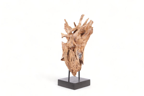 Table Top Organic Teak Sculpture - 38" Inch Tall - Dyag East