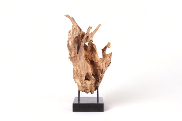 Table Top Organic Teak Sculpture - 38" Inch Tall - Dyag East