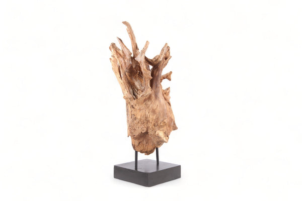 Table Top Organic Teak Sculpture - 38" Inch Tall - Dyag East
