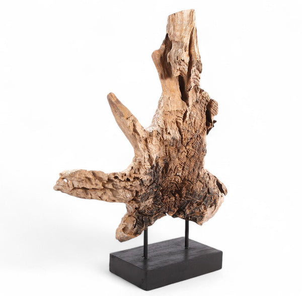 Table Top Organic Teak Sculpture - 42" Inch Tall - Dyag East