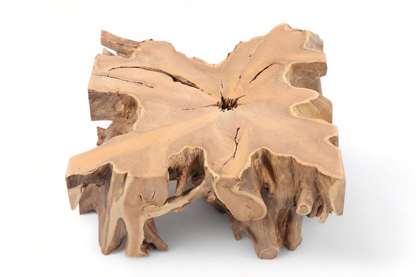 Z - 39" Inch Square Teak Root Coffee Table - Dyag East