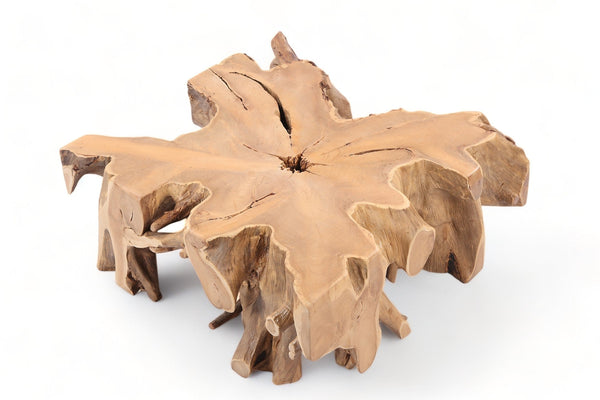 Z - 39" Inch Square Teak Root Coffee Table - Dyag East
