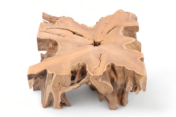 Z - 39" Inch Square Teak Root Coffee Table - Dyag East