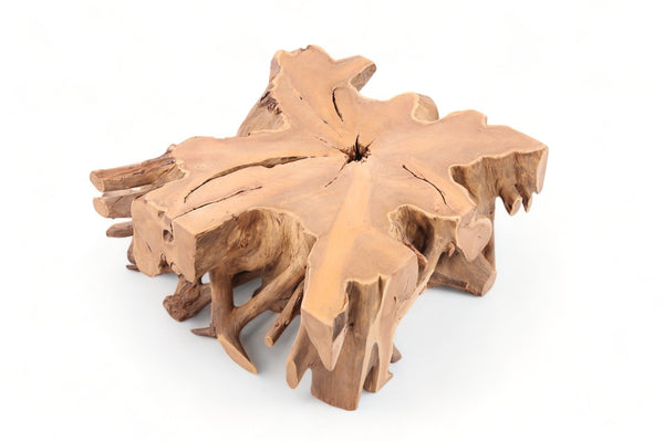 Z - 39" Inch Square Teak Root Coffee Table - Dyag East
