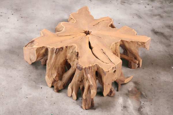 Z - 39" Inch Square Teak Root Coffee Table - Dyag East
