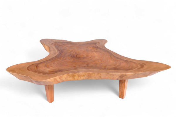 Z - Free Form One Slab Living Edge Coffee Table 7 - Dyag East