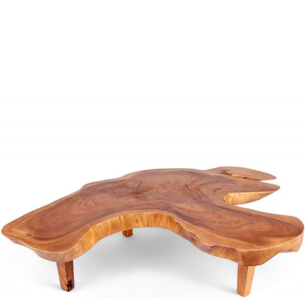 Z - Free Form One Slab Living Edge Coffee Table 8 - Dyag East