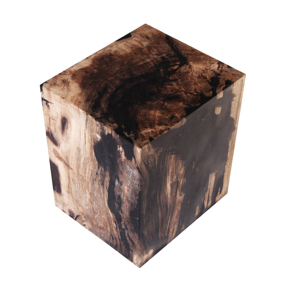Petrified Wood Stool Accent Table 6 - Dyag East
