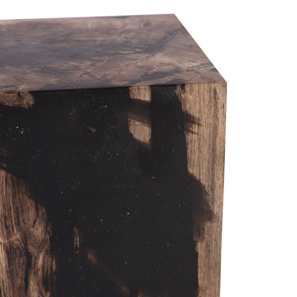 Petrified Wood Stool Accent Table 6 - Dyag East