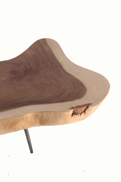 Half Moon Living Edge Accent or Side Table 2 - Dyag East