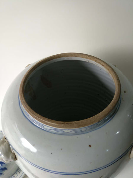 Blue and White Porcelain Vase With Ever Green and Plum Flowers