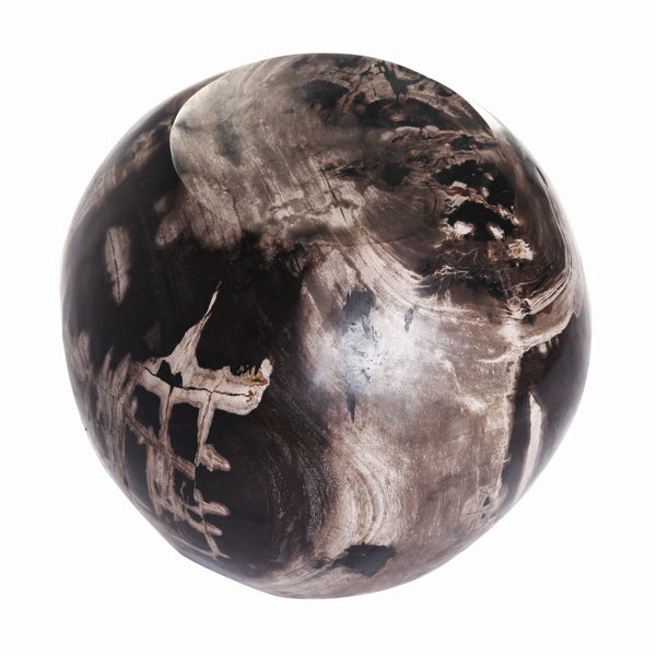 Petrified Wood Stool Accent Table 1 - Dyag East