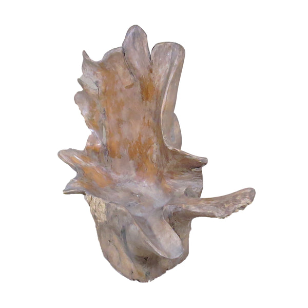 Organic Star Teak Bowl 3 - Dyag East