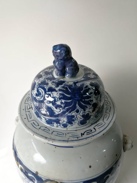 Blue and White Oriental Decorative Porcelain Ginger Jar