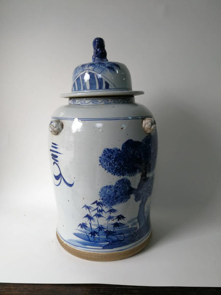 Blue and White Porcelain Vase With Ever Green and Plum Flowers