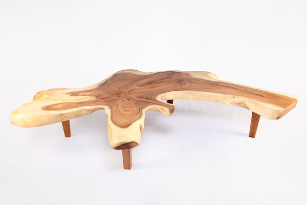 95" Long Free Form One Slab Living Edge Coffee Table 10 - Dyag East