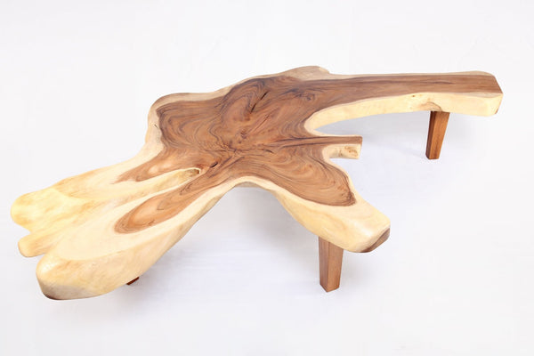 95" Long Free Form One Slab Living Edge Coffee Table 10 - Dyag East