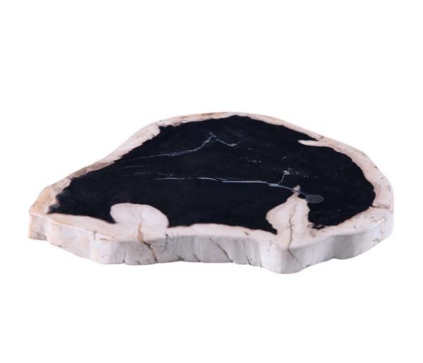 Petrified Wood Board
