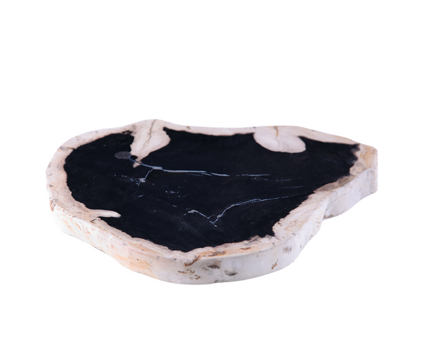 Petrified Wood Board