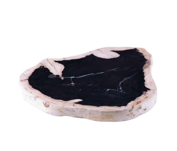 Petrified Wood Board