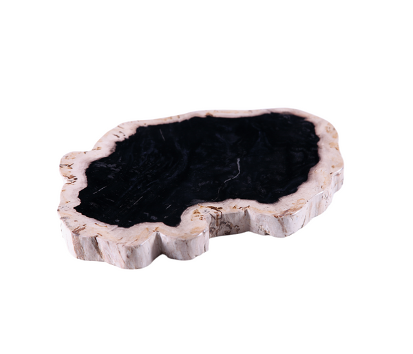 Petrified Wood Board