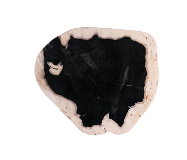 Petrified Wood Board