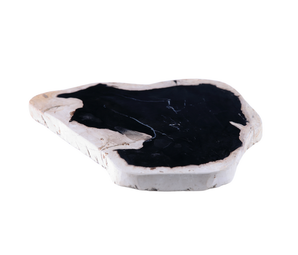 Petrified Wood Board