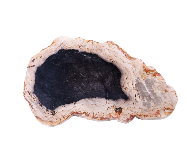 Petrified Wood Board 2