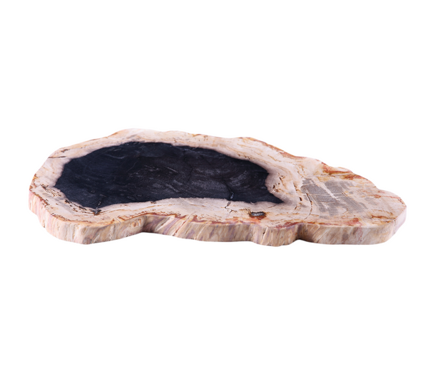 Petrified Wood Board 2