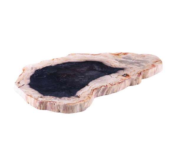 Petrified Wood Board 2