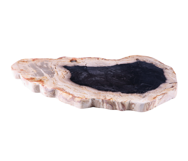 Petrified Wood Board 2