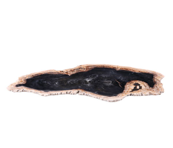 Petrified Wood Board 3