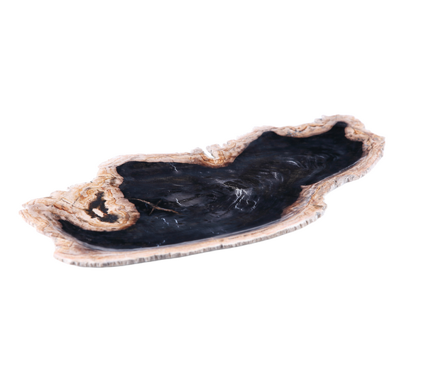 Petrified Wood Board 3