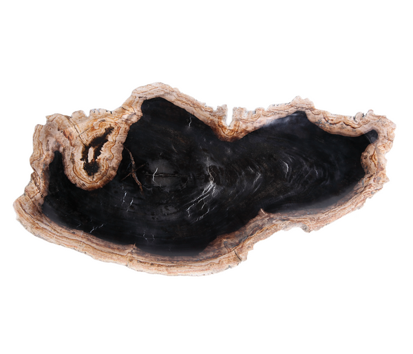 Petrified Wood Board 3