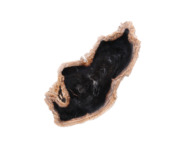 Petrified Wood Board 3