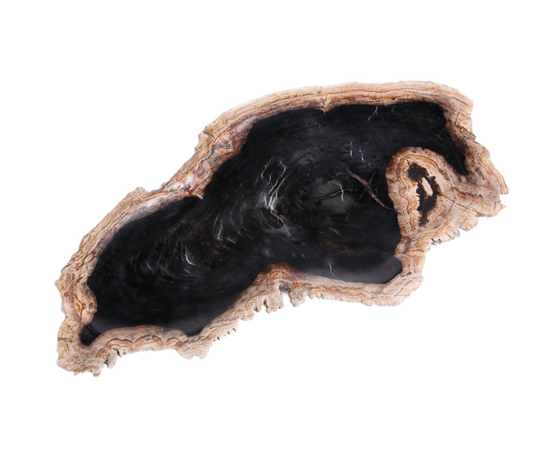 Petrified Wood Board 3