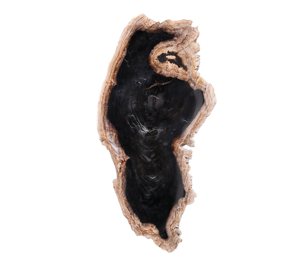 Petrified Wood Board 3