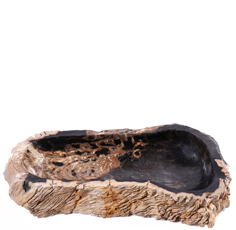 Z-28" Long Petrified Wood Vessel 3