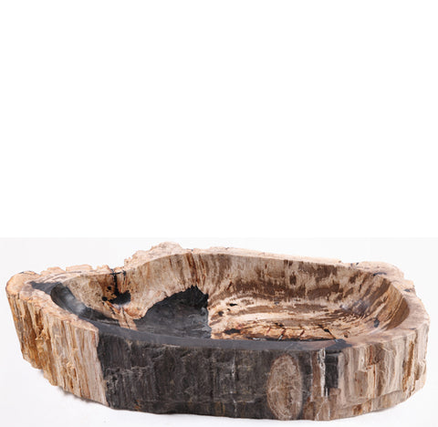 Z-28" Long Petrified Wood Vessel 4