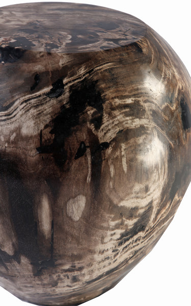 Petrified Wood Stool Accent Table 1 - Dyag East