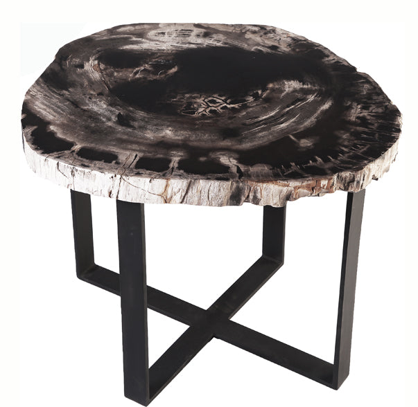 Petrified Wood Top w Iron Stand Accent Table 11 - Dyag East