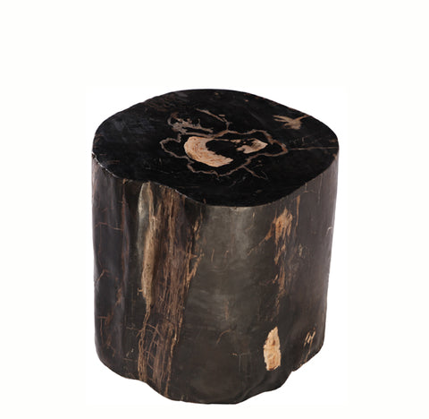 Petrified Wood Stool Accent Table 2 - Dyag East