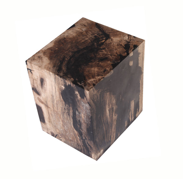 Petrified Wood Stool Accent Table 6 - Dyag East