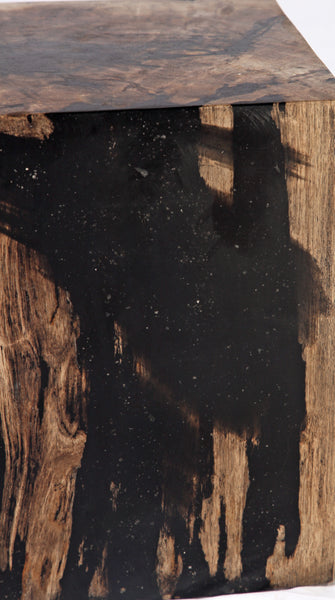 Petrified Wood Stool Accent Table 6 - Dyag East