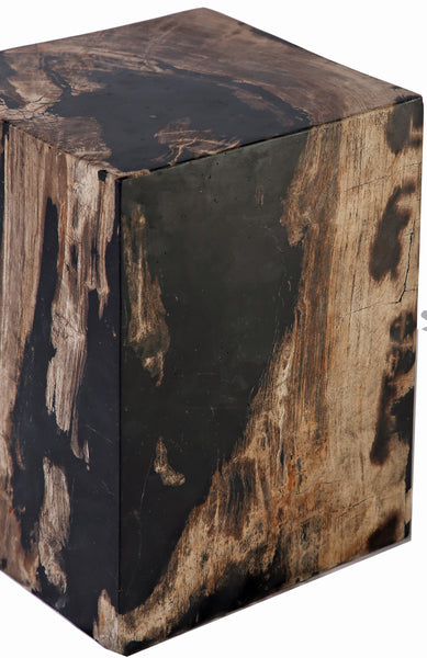 Petrified Wood Stool Accent Table 7 - Dyag East